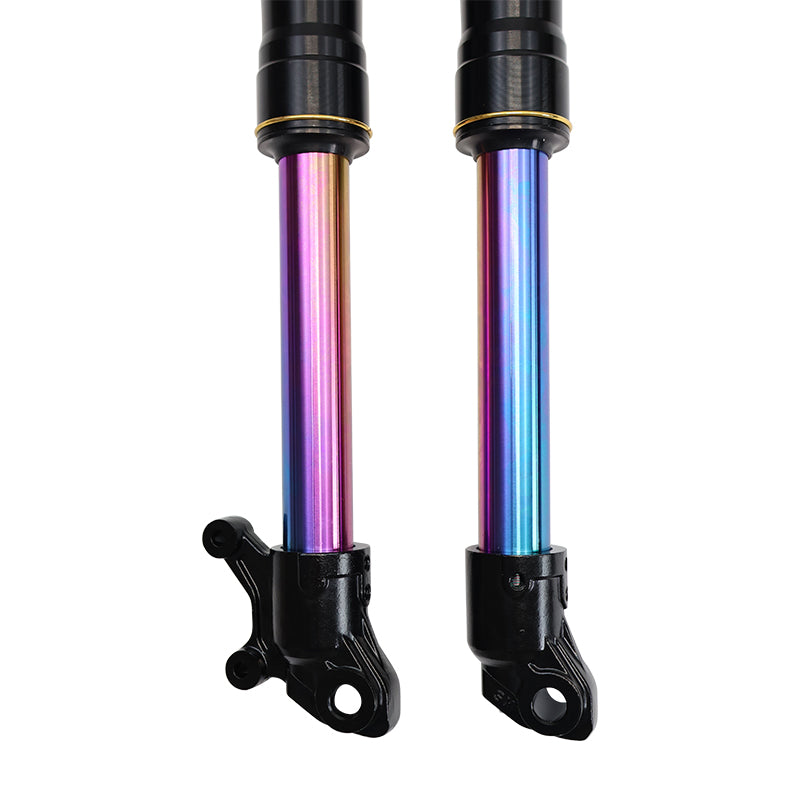 Rainbow Colored